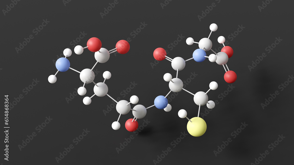 glutathione molecule, molecular structure, antioxidant, ball and stick 3d model, structural chemical formula with colored atoms glutathione molecule, molecular structure, antioxidant, ball and stick 3d model, structural chemical formula with colored atoms