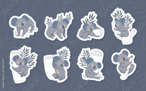 Grey Koala Animal with Eucalyptus Branch Vector Sticker Set