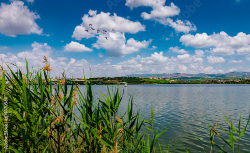 Beautiful scenery of Lake Mogan | Golbasi behind the reeds in a cloudy hot summer day in Ankara.  photo