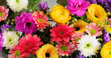 colorful beautiful flowers background with top view