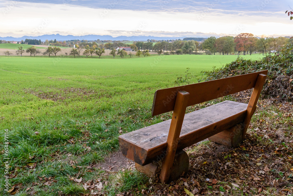 bench in the park bench in the park
