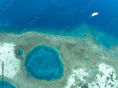 Shallow blue holes are found on a shallow reef flat near the island of Komodo, Indonesia. Blue holes can be caused in different ways but are often collapsed limestone caves.