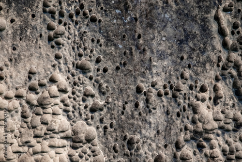 Natural of sandstone texture background. shells and voids in stone. The natural surface of the sandstone wall
