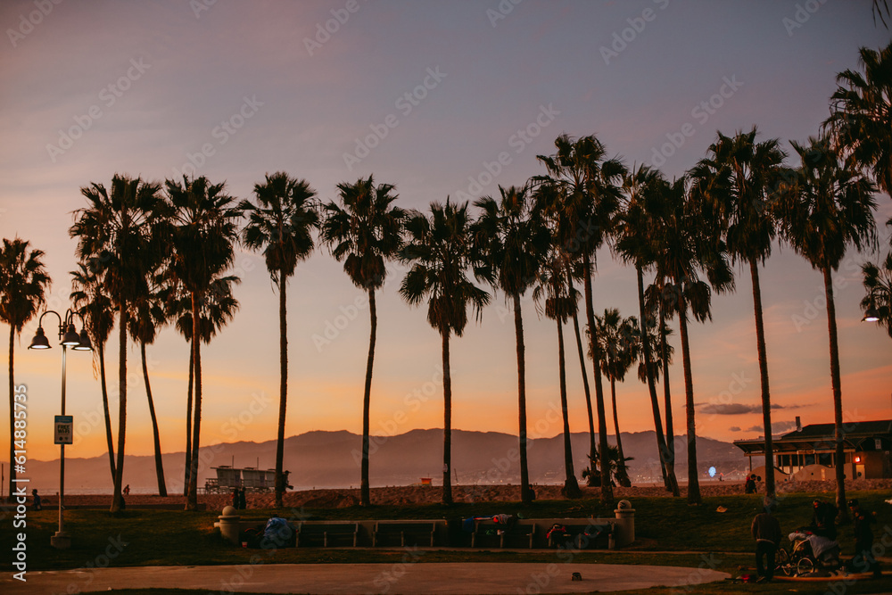 Obraz premium Sunset and palms trees on Venice beach, California