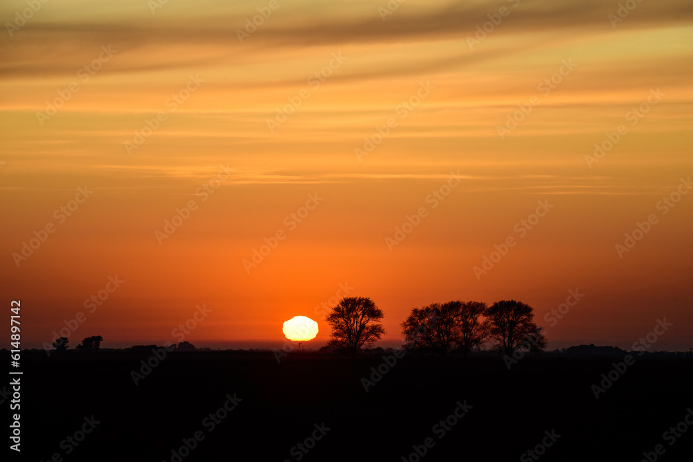 Rural sunset landscape, Buenos Aires province , Argentina