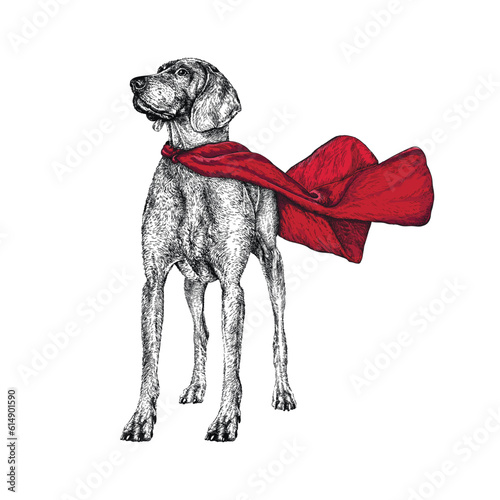 Vector black and white hand drawn standing dog in red cape. Dog is a super hero