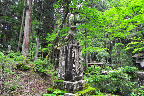 光前寺の早太郎