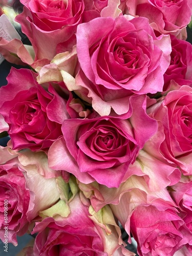 A bunch of bright pink roses