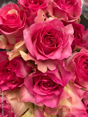 Bouquet of pink roses