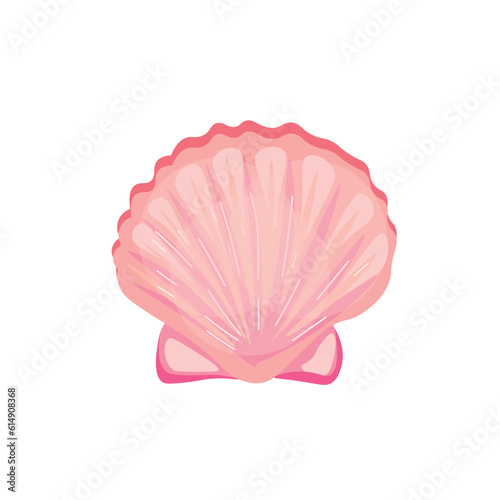 Beautiful sea shell on white background