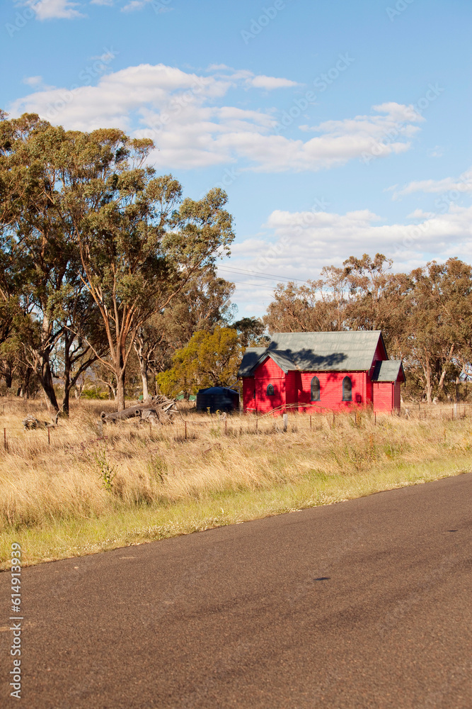 Obraz premium Australian Cattle 