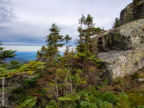 Pine trees and rocks in the foreground with the Adirondack State Park area behind in New York State, USA. photo