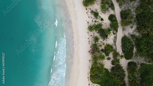 Playa Rincon, Samana, the beach in Dominican Republic. Aerial drone photo.