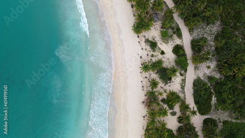 Playa Rincon, Samana, the beach in Dominican Republic. Aerial drone photo.