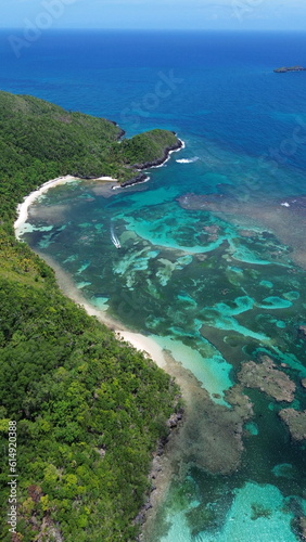 Playa Ermitano  El Valle  Samana  beach in Dominican Republic. Aerial drone photo.