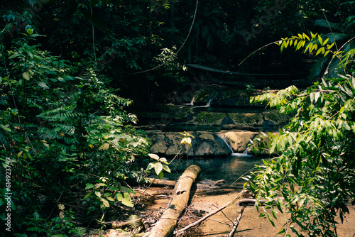 Beautiful landscape of Agua Azul cascades park in Palenque, Mexico. photo