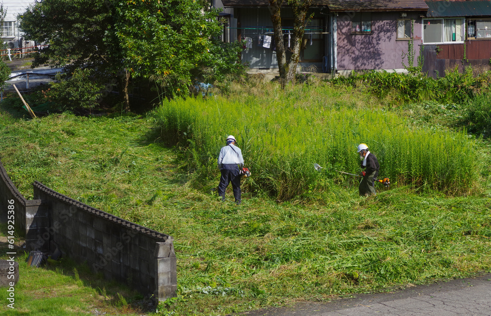 耕作放棄地の草刈りをする高齢者 耕作放棄地の草刈りをする高齢者