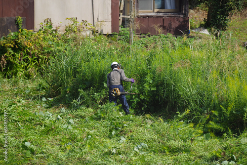 耕作放棄地の草刈りをする高齢者