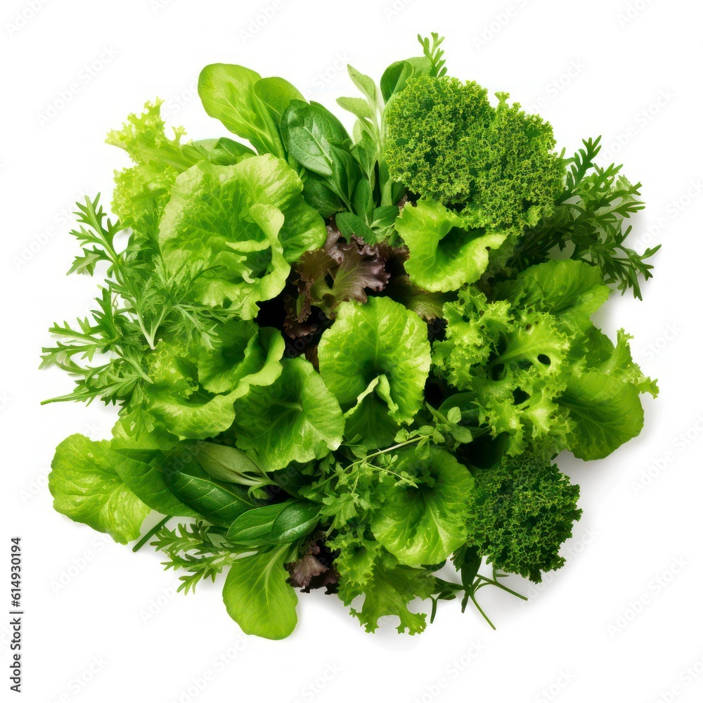 Fototapeta premium fresh green parsley