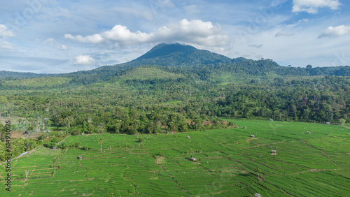Aerial view of rice fields with Mount Seulawah Agam in the background, in the province of Aceh, Indonesia.