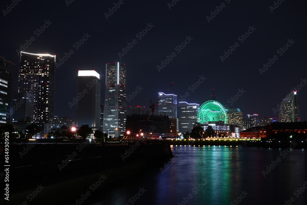 Obraz premium 日本の夜景