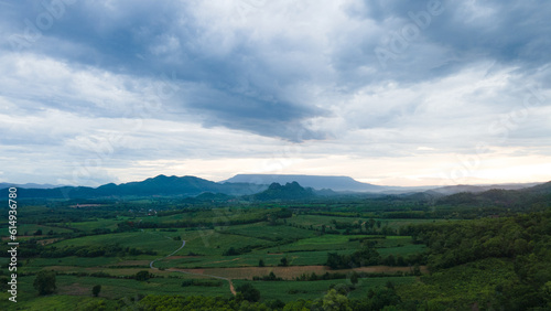 Landscape Panorama view, Green forest floor during sunset.