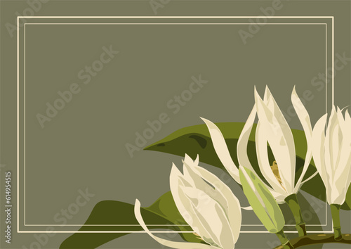 White champaca background, Magnolia × alba, line frame, tropical flowers