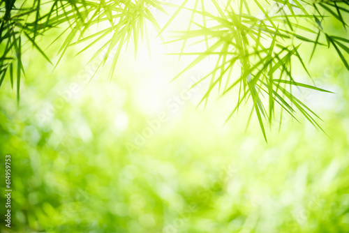 Fototapeta Naklejka Na Ścianę i Meble -  Nature of green bamboo leaf in garden at summer. Natural green leaves plants using as spring background cover page greenery environment ecology lime green wallpaper