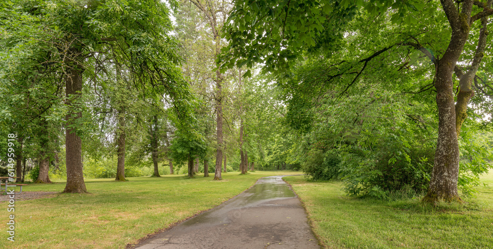 Spring green growth in a public park Oregon. Spring green growth in a public park Oregon.