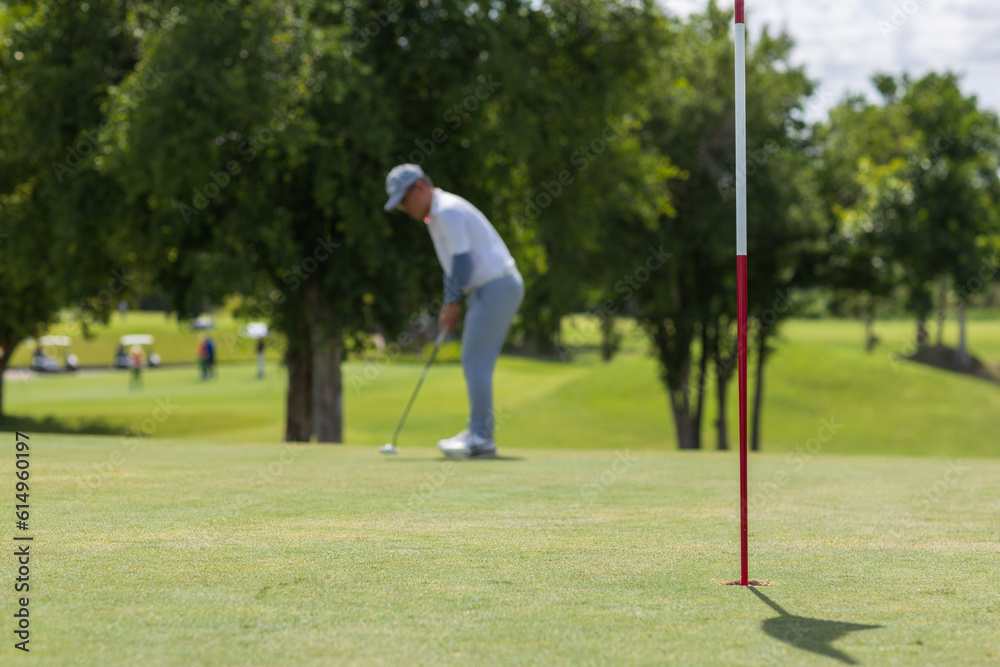 Obraz premium Golfers putting golf balls on the green amid the warm sunshine in the morning. Concept of Outdoor activities and Outdoor sports, Concept of Golfer and Lifestyle.