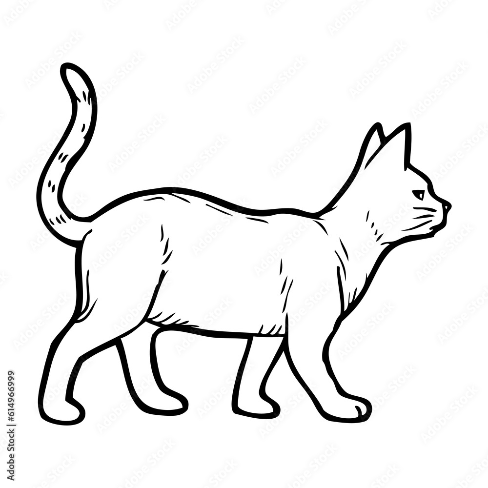 Fototapeta premium cat sketch vector illustration