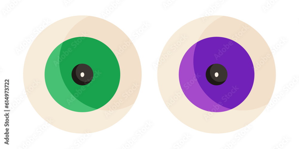 Vector illustration of the eyeyballs with green and purple irises. Halloween spooky symbol. Ingredient for witch potion. Vector illustration of the eyeyballs with green and purple irises. Halloween spooky symbol. Ingredient for witch potion.