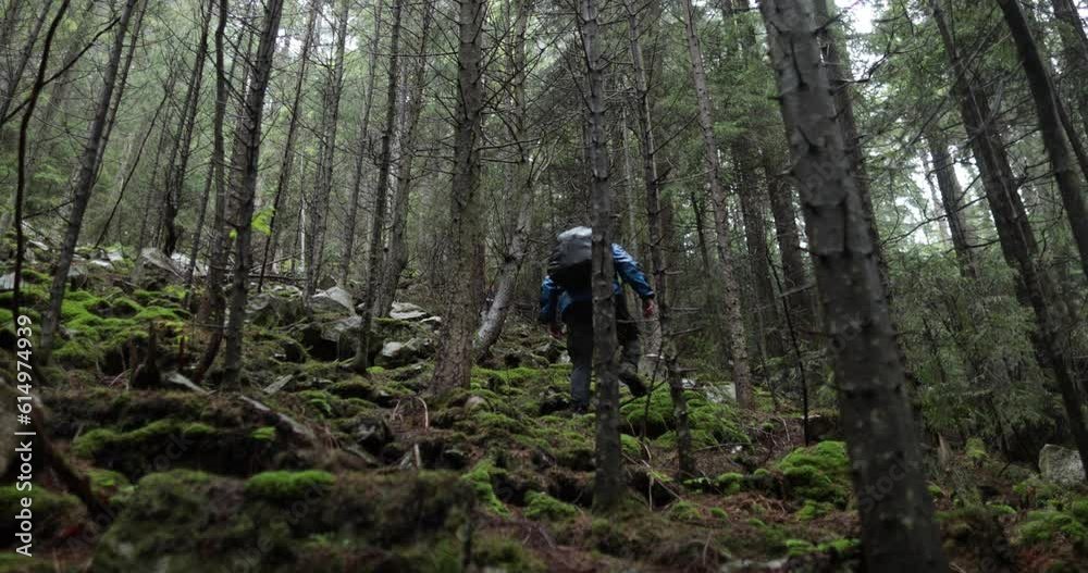 A young man in a mountain hiking with a backpack among the trees in a dense foggy forest. Single hike in long weather. A young man in a mountain hiking with a backpack among the trees in a dense foggy forest. Single hike in long weather.