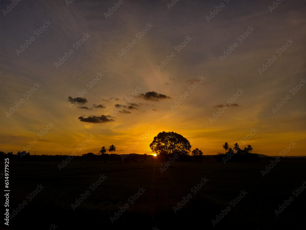 sunset in the desert