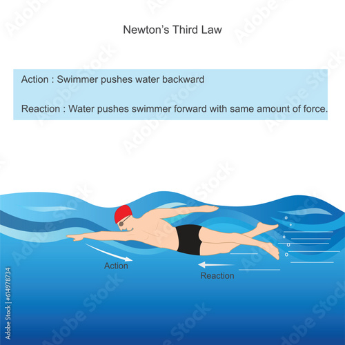 Newtons third law. swimmer pushes water backward with force and in return water pushes swimmer forward with same amount of force. Physics illustration.