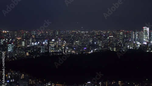Wallpaper Mural 真っ暗な森とビルの灯りを臨む東京の夜景。 Torontodigital.ca