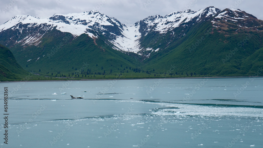 landscape of mountain peak in alaska. photo of mountain in alaska. mountain in alaska. landscape of mountain peak in alaska. photo of mountain in alaska. mountain in alaska.