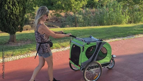 A lady walking her boxer dog in a cart after kneecap surgery. photo