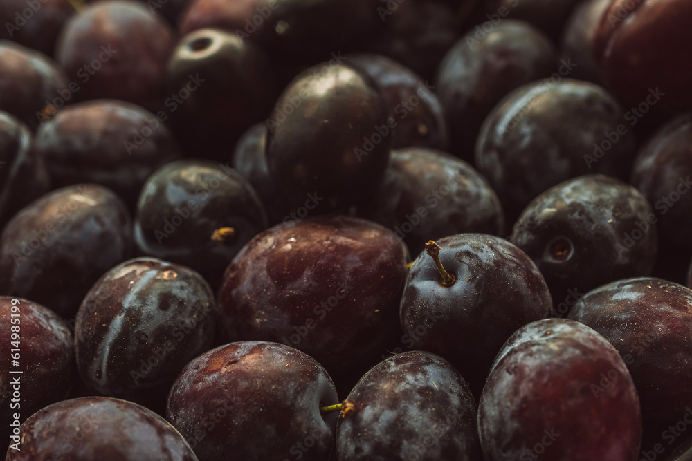 Obraz premium Fresh plums on the table, close-up