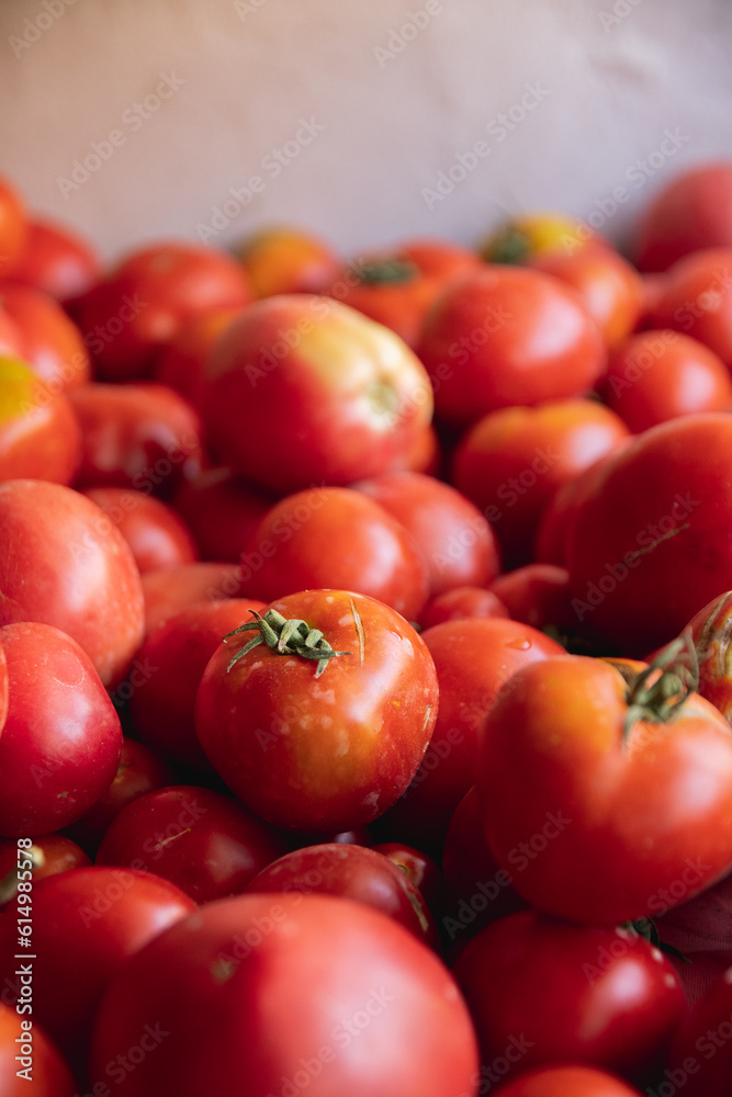 Fresh organic tomatoes, close-up Fresh organic tomatoes, close-up