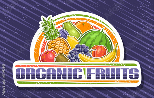 Vector logo for Organic Fruits, white decorative sign board with illustration of group ripe sweet fruits, white label with unique brush lettering for text organic fruits on blue abstract background