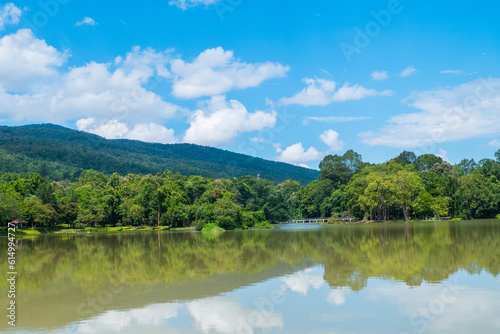 Reflection of Mountain landscape and tree in a lake.