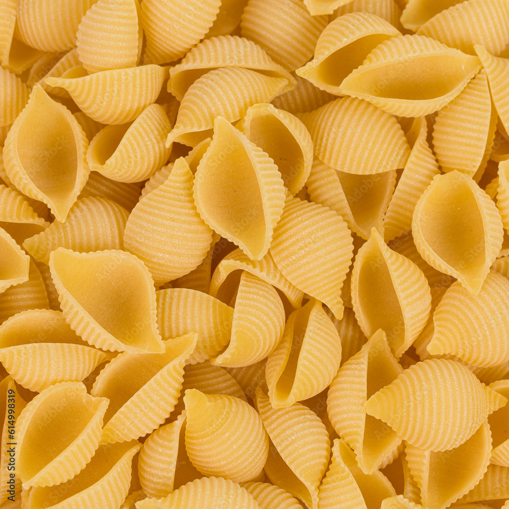 conchiglie pasta shell conchiglie pasta shell
