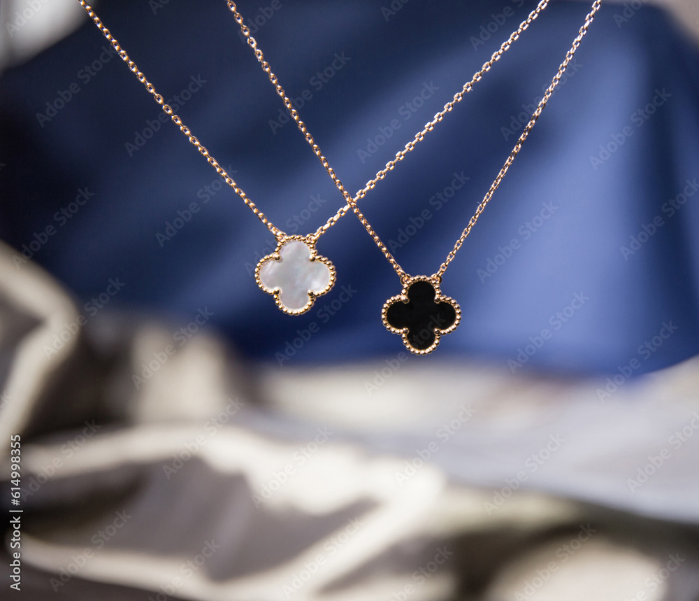 Fototapeta premium Fashionable and exquisite women's necklace