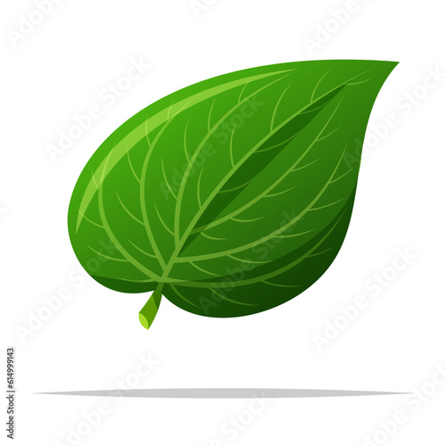 Betel leaf vector isolated illustration photo