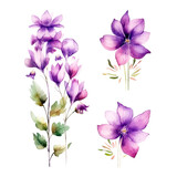 Set of purple floral watecolor. flowers and leaves. Floral poster, invitation floral. Vector arrangements for greeting card or invitation design	