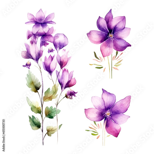 Set of purple floral watecolor. flowers and leaves. Floral poster, invitation floral. Vector arrangements for greeting card or invitation design 