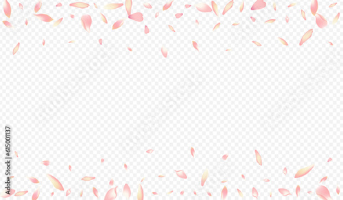 Red Cherry Vector Transparent Background. Blossom