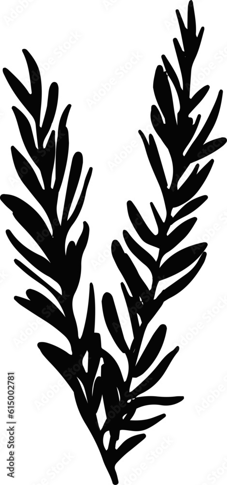 Fototapeta premium shadow flower flora blossom bloom art doodle