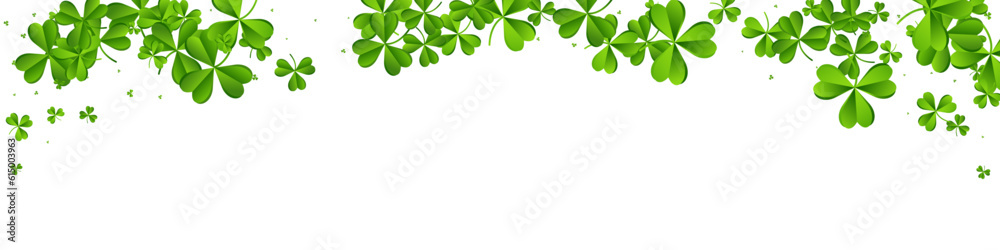 Olive color Clover Summer Vector White Panoramic